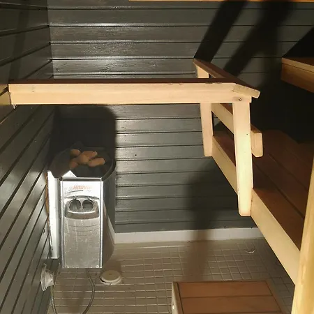 Vakantiehuis Talvitahko 3 *